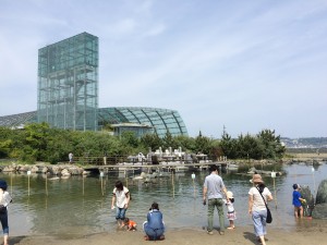 IMG_3560