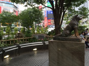 IMG_4179