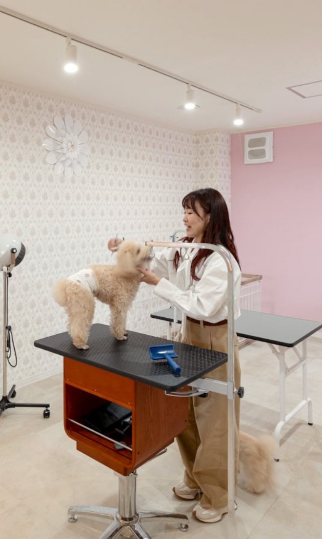 トリミングサロン「モフエモワ」の業務風景